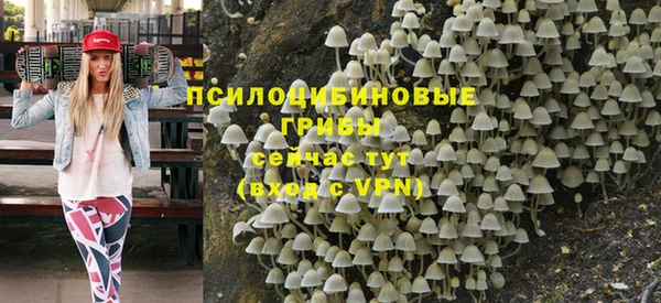 ПСИЛОЦИБИНОВЫЕ ГРИБЫ Горнозаводск