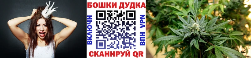 ссылка на мегу tor  Миасс  Бошки Шишки White Widow 